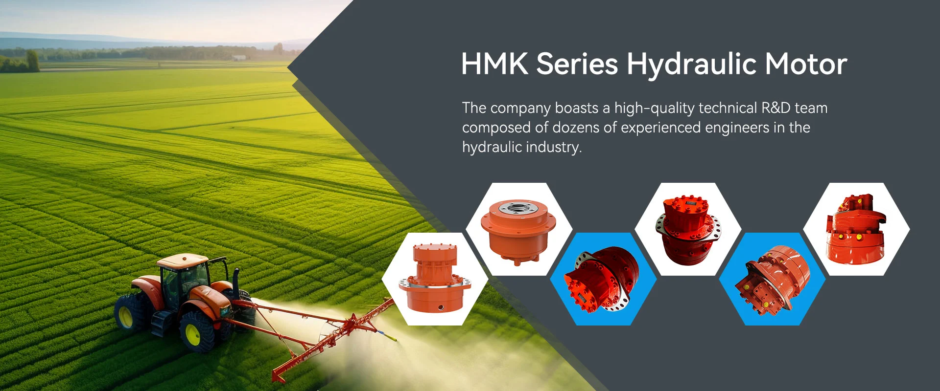 Motor Hydraulic Series China HMK